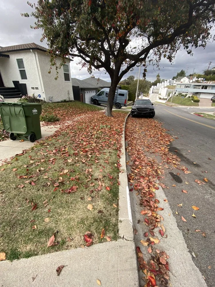 Trusted garden landscaping in Los Angeles, CA by The Landscape Watch