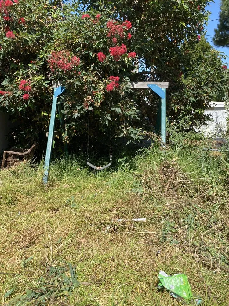 Trusted lawn mowing service for outdoor upgrades in Los Angeles, CA by The Landscape Watch