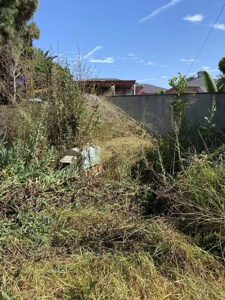 Custom lawn mowing service experts serving Los Angeles, CA - The Landscape Watch