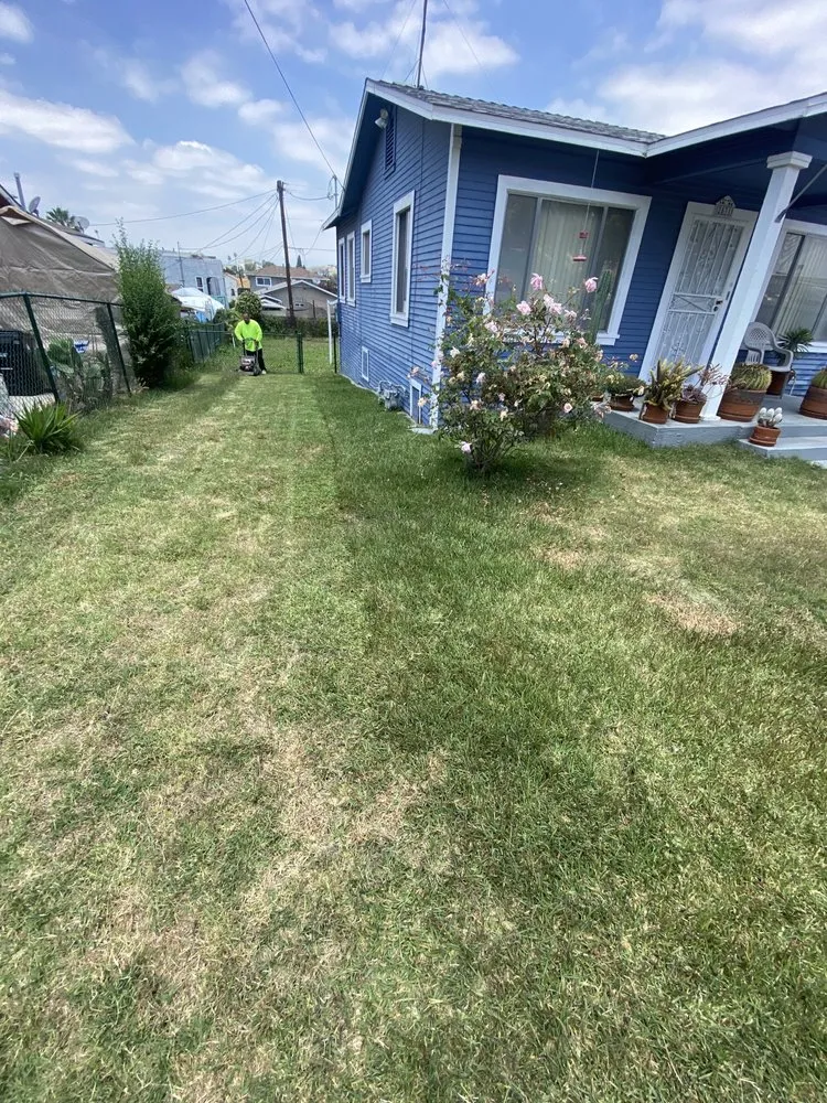 Reliable yard cleanup service experts serving Los Angeles, CA - The Landscape Watch