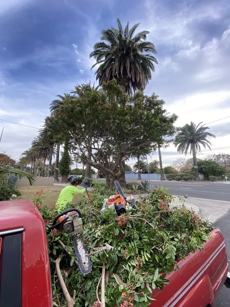 Professional lawn mowing service in Los Angeles, CA by The Landscape Watch