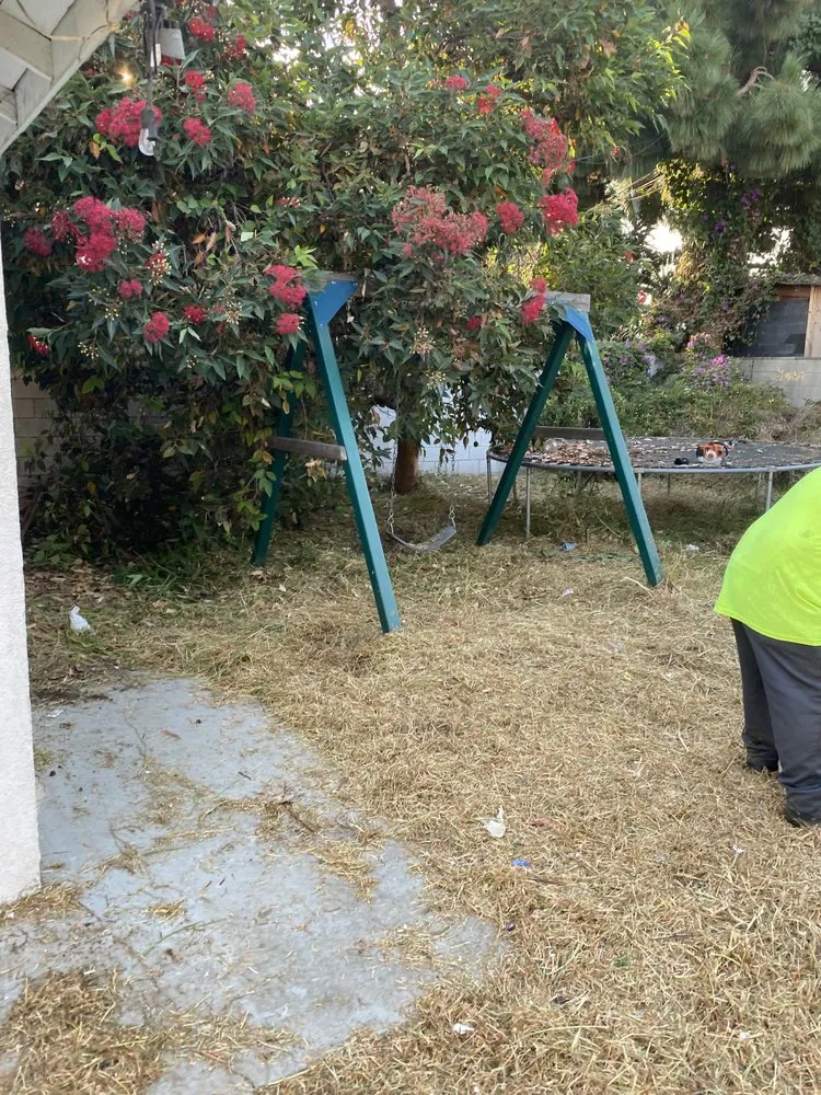 Custom landscaping services experts serving Los Angeles, CA - The Landscape Watch