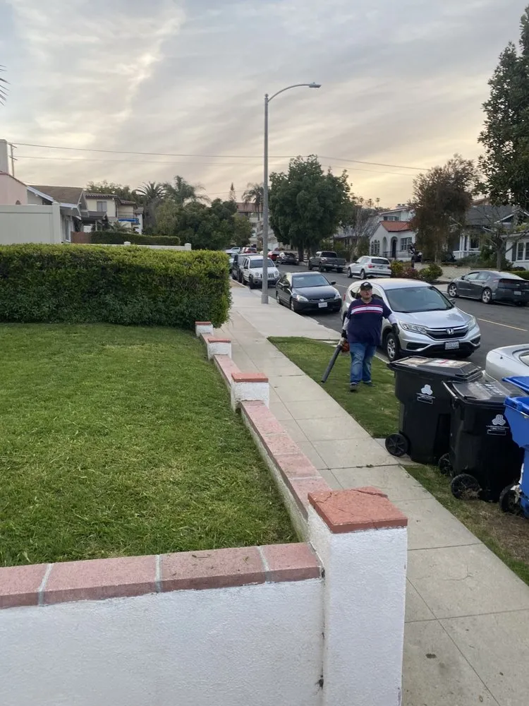 Expert yard cleanup service for outdoor upgrades across Los Angeles, CA - The Landscape Watch