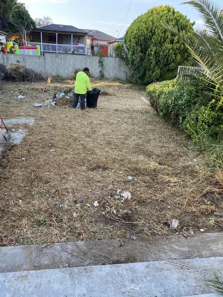 Expert yard cleanup service experts serving Los Angeles, CA - The Landscape Watch