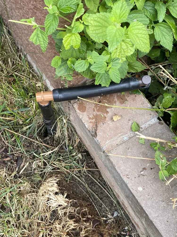 Local yard cleanup service in Los Angeles, CA by The Landscape Watch