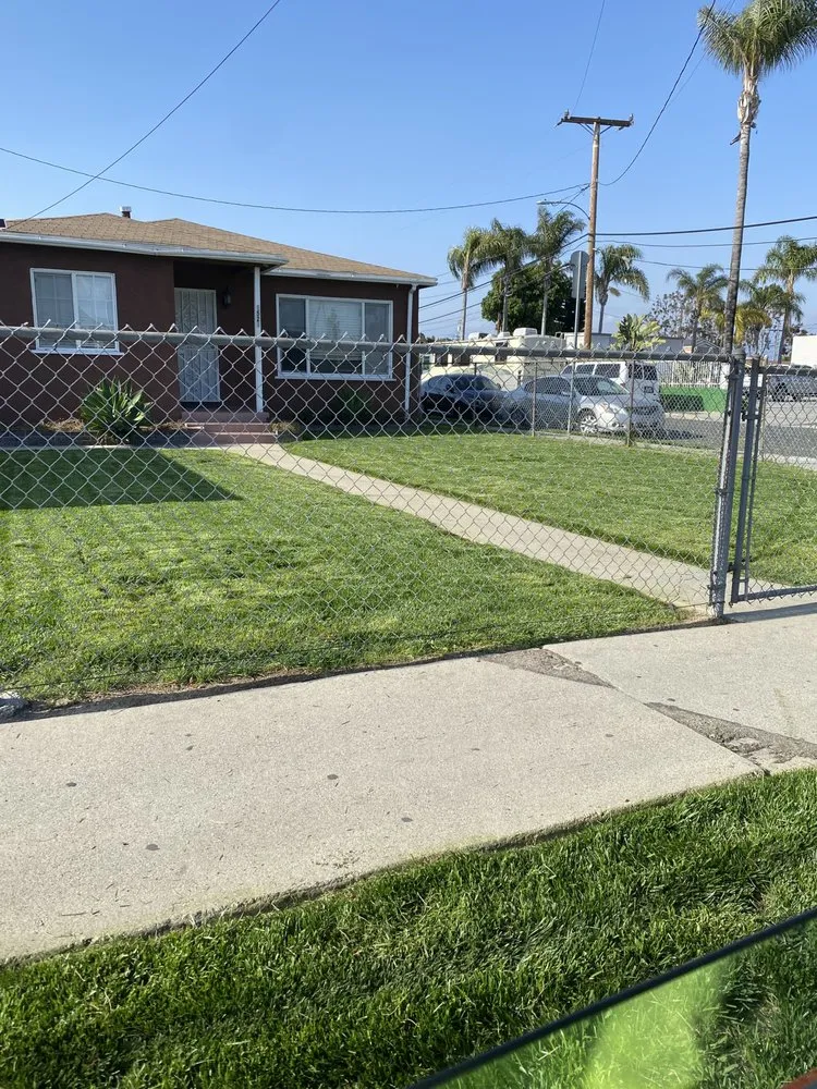 Custom landscaping services for year-round maintenance across Los Angeles, CA - The Landscape Watch