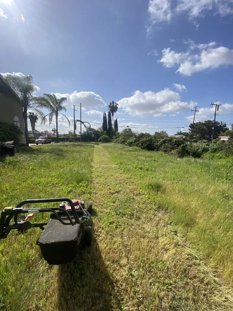 Top-rated residential landscaping in Los Angeles, CA - The Landscape Watch