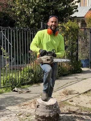 The Landscape Watch Logo