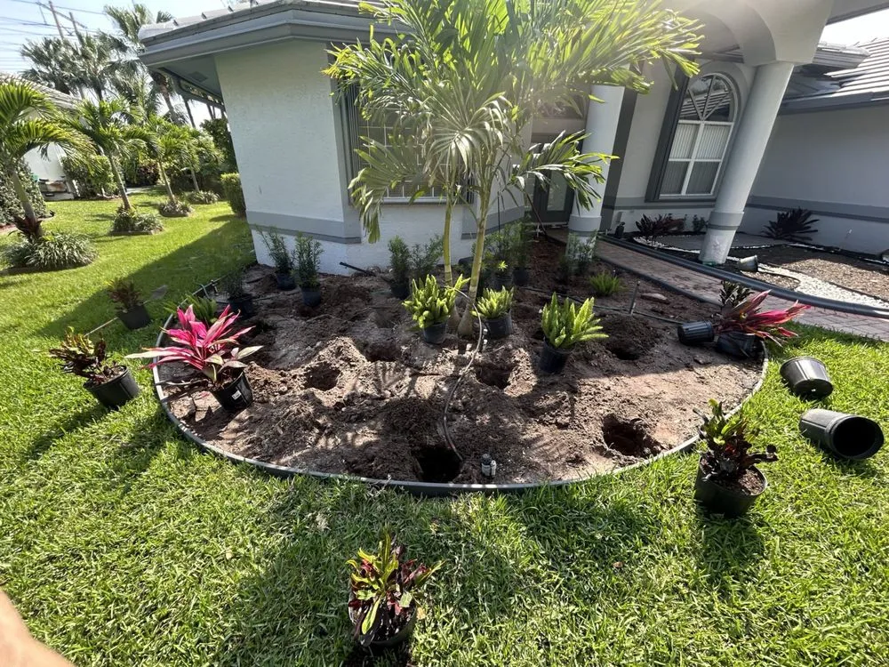 Affordable outdoor landscaping for homes across Coral Springs, FL - The Landscape Whisperer