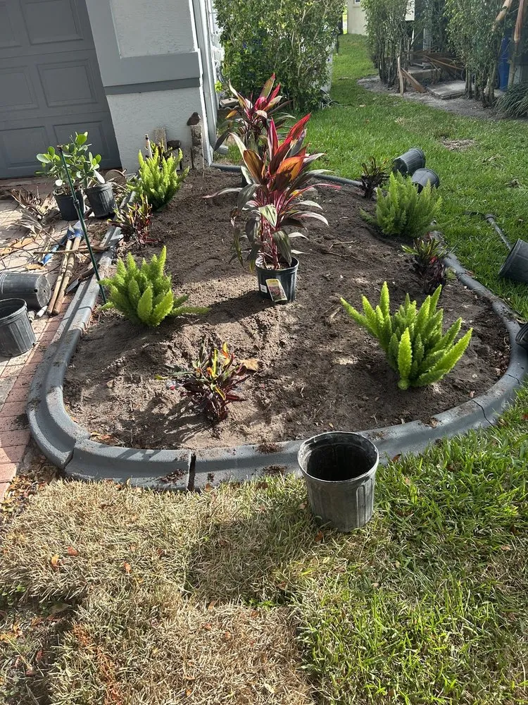 Affordable landscape installation in Coral Springs, FL by The Landscape Whisperer