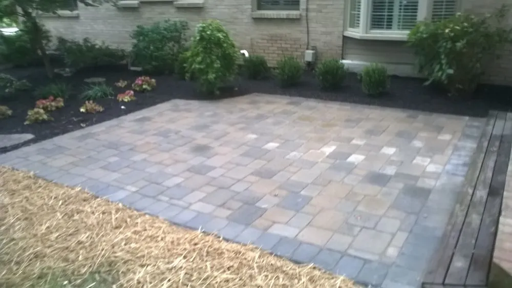 Top-rated yard cleanup service for homes across Bellevue, KY - The Landscaper