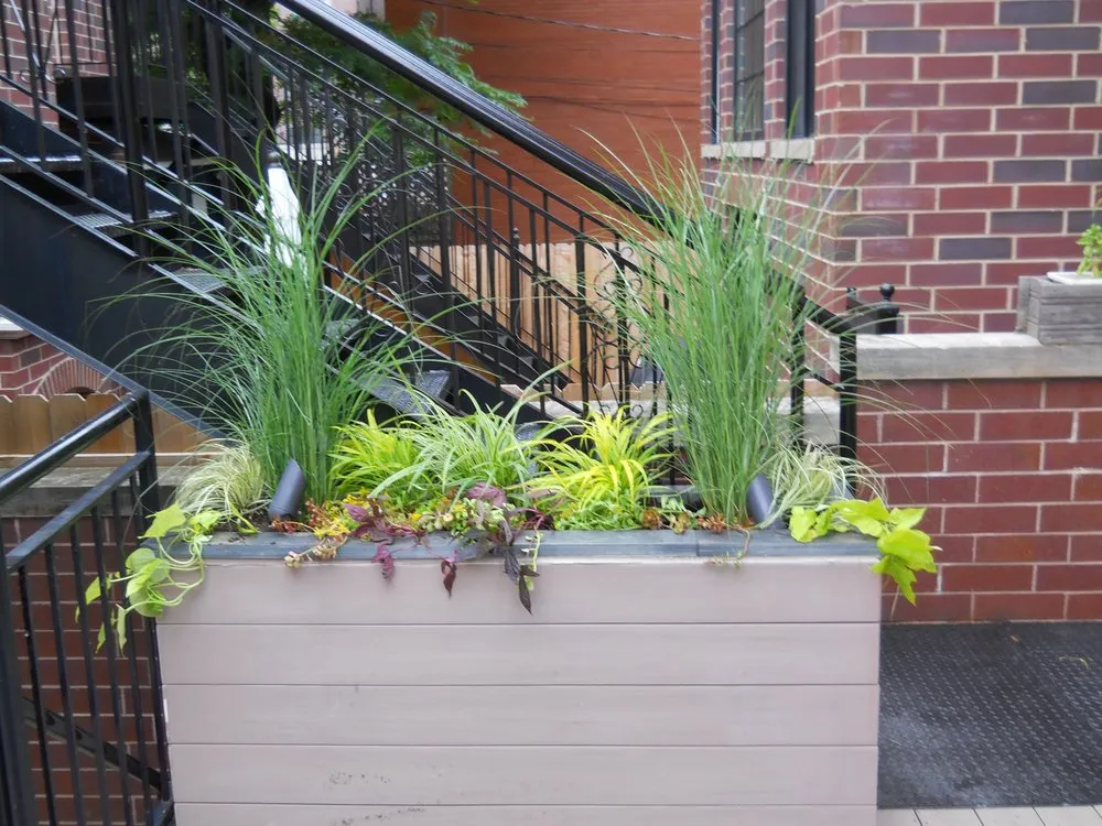 Custom yard cleanup service for year-round maintenance across Chicago, IL - The Landscaper Guy