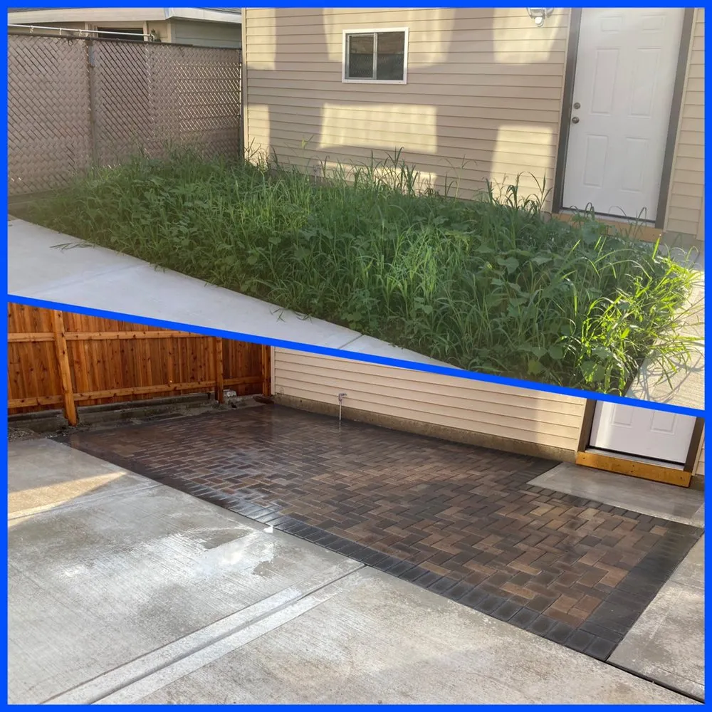 Top-rated yard cleanup service in Chicago, IL - The Landscaper Guy