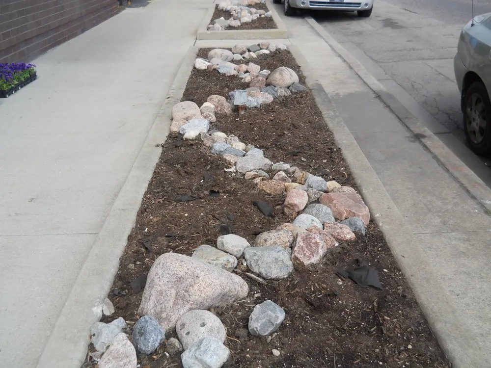 Professional yard cleanup service experts serving Chicago, IL - The Landscaper Guy