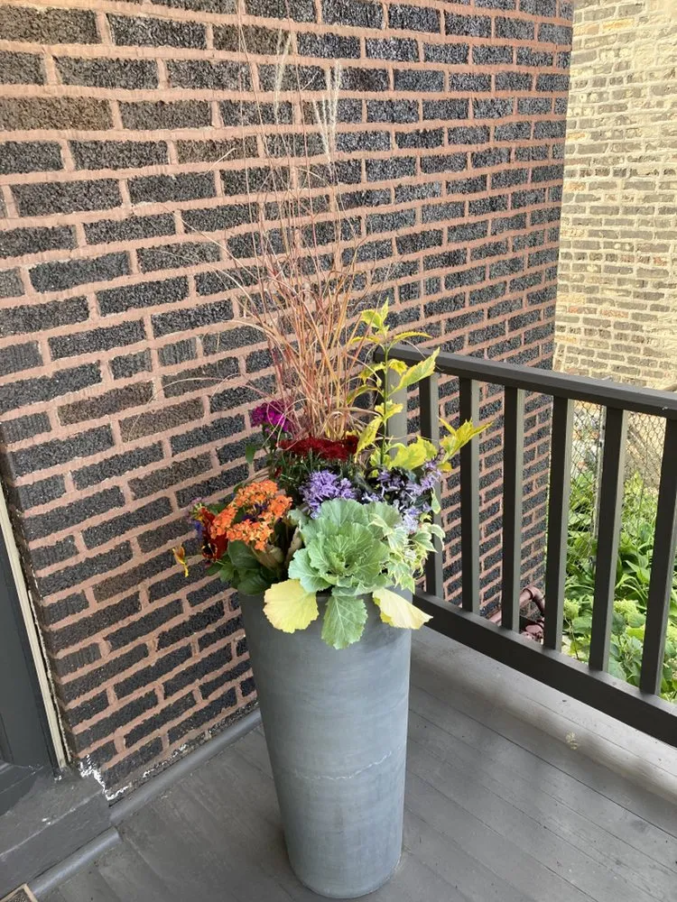 Trusted landscaping services in Chicago, IL by The Landscaper Guy