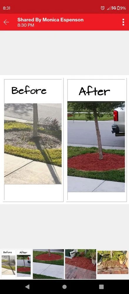 Professional landscape installation experts serving Stuart, FL - The Landscaper