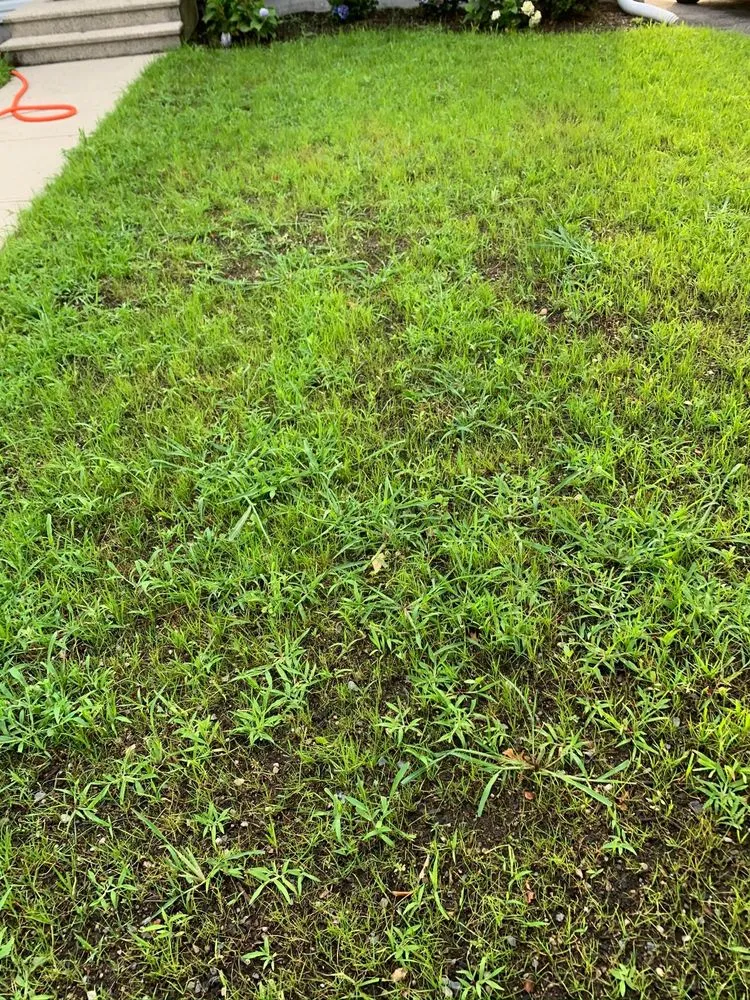 Affordable residential landscaping for residential properties across Melrose, MA - The Landscapers