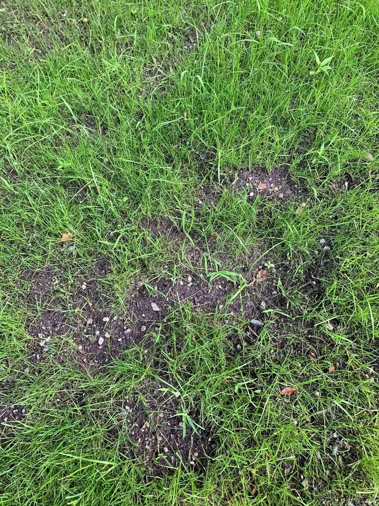 Trusted yard maintenance for homes across Melrose, MA - The Landscapers