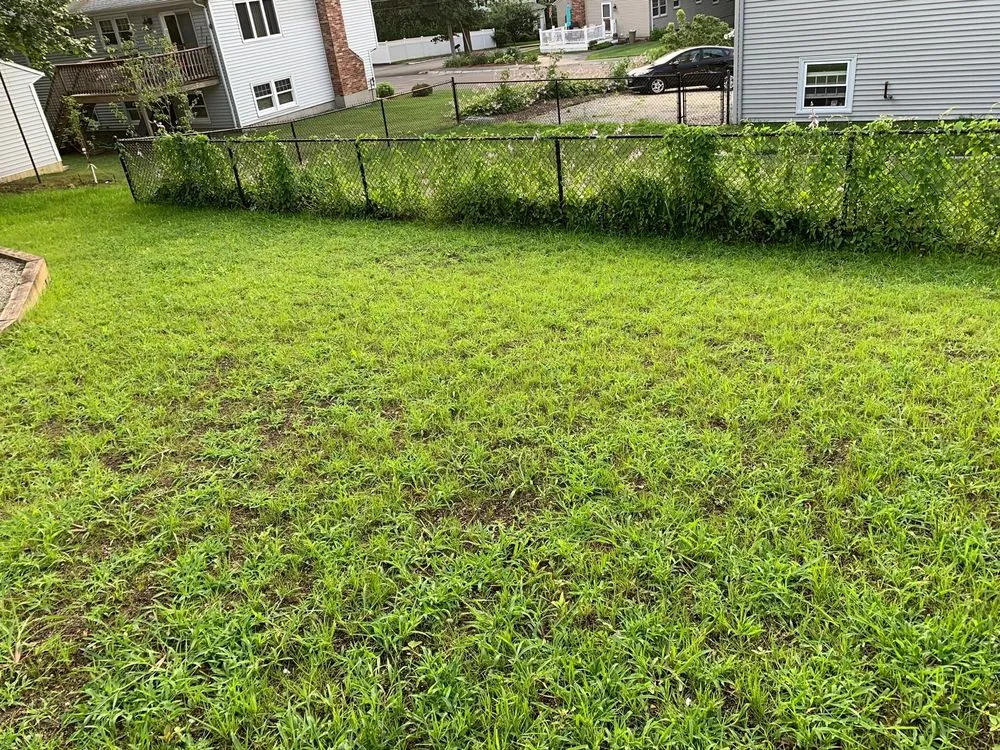 Top-rated yard maintenance for beautiful yards across Melrose, MA - The Landscapers