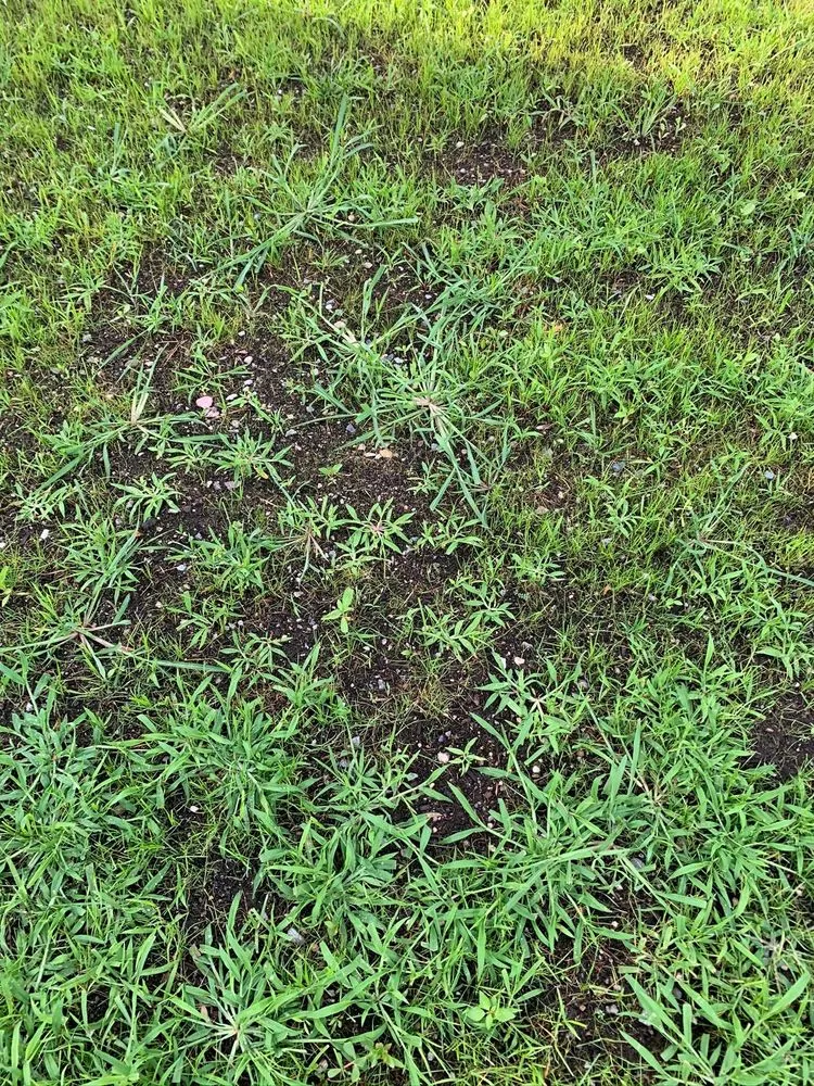 Affordable yard cleanup service in Melrose, MA by The Landscapers