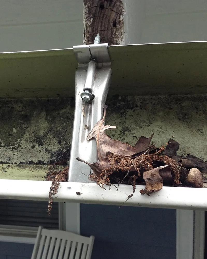 Expert landscaping services near you across Rockville, MD - The Landscapers