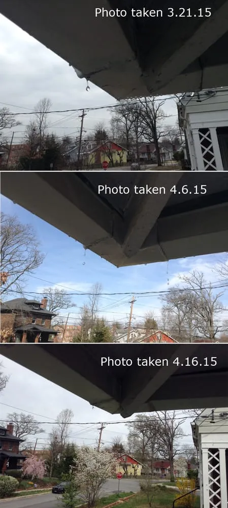 Affordable residential landscaping in Rockville, MD by The Landscapers