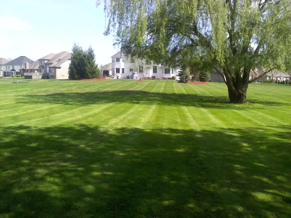 Local yard maintenance in Shelby Township, MI by The Landscaping Authority