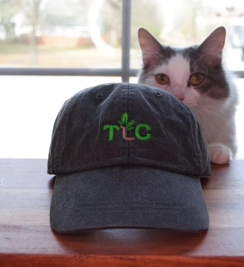 Professional yard maintenance in Lexington, SC by The Landscaping Co