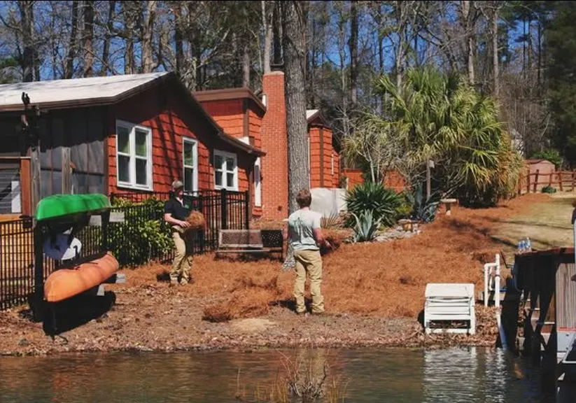 Expert residential landscaping in Lexington, SC by The Landscaping Co