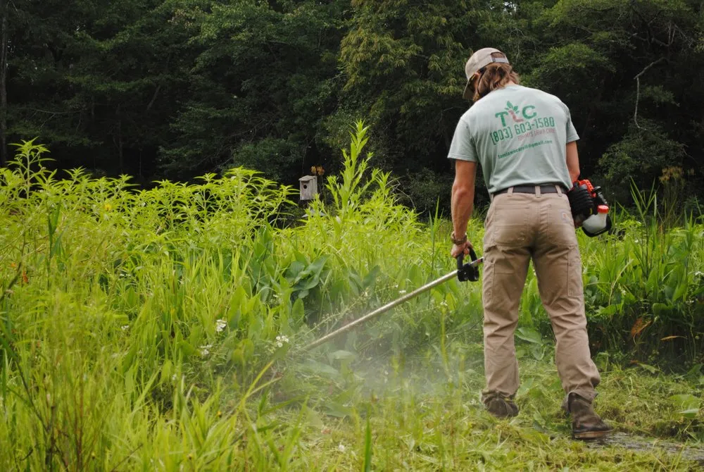 Expert lawn care service for beautiful yards across Lexington, SC - The Landscaping Co