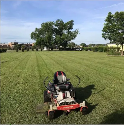 Trusted landscaping services experts serving Lexington, SC - The Landscaping Co