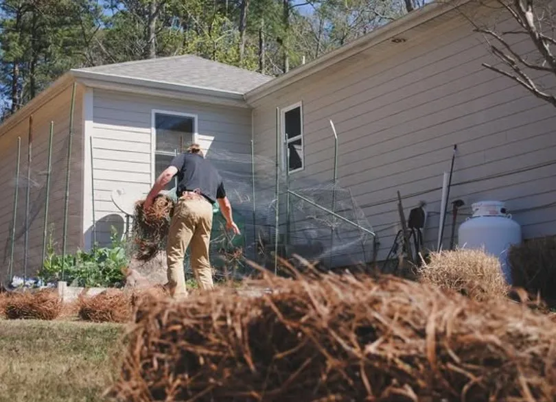 Reliable landscape installation for outdoor upgrades in Lexington, SC by The Landscaping Co