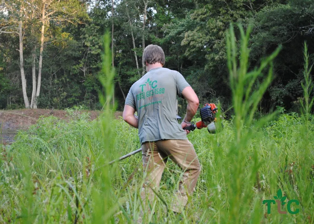 Professional landscape installation in Lexington, SC by The Landscaping Co