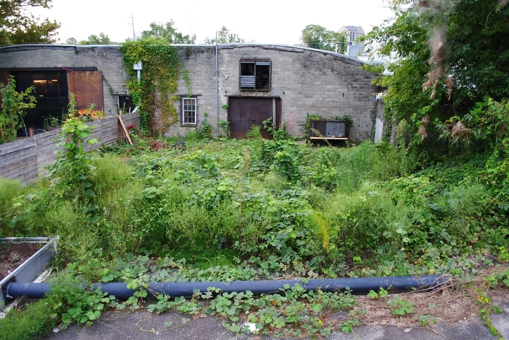 Custom yard maintenance for residential properties across Lexington, SC - The Landscaping Co