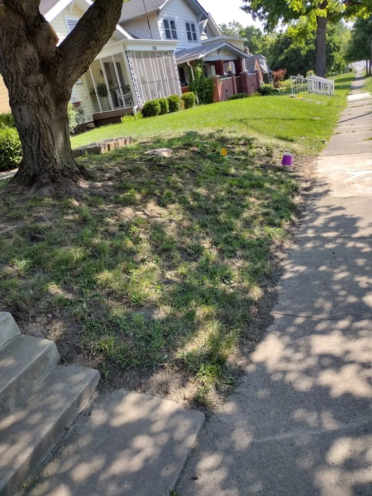 Affordable residential landscaping experts serving Indianapolis, IN - The Landscaping Company