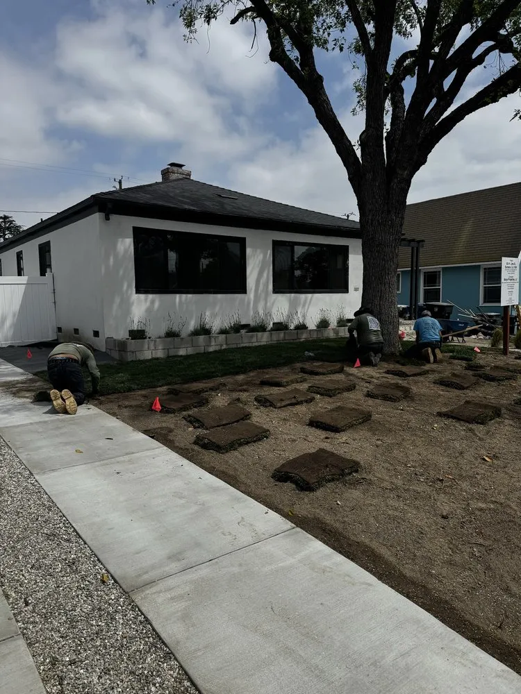 Professional garden landscaping in Los Angeles, CA - The Landscaping Contractor