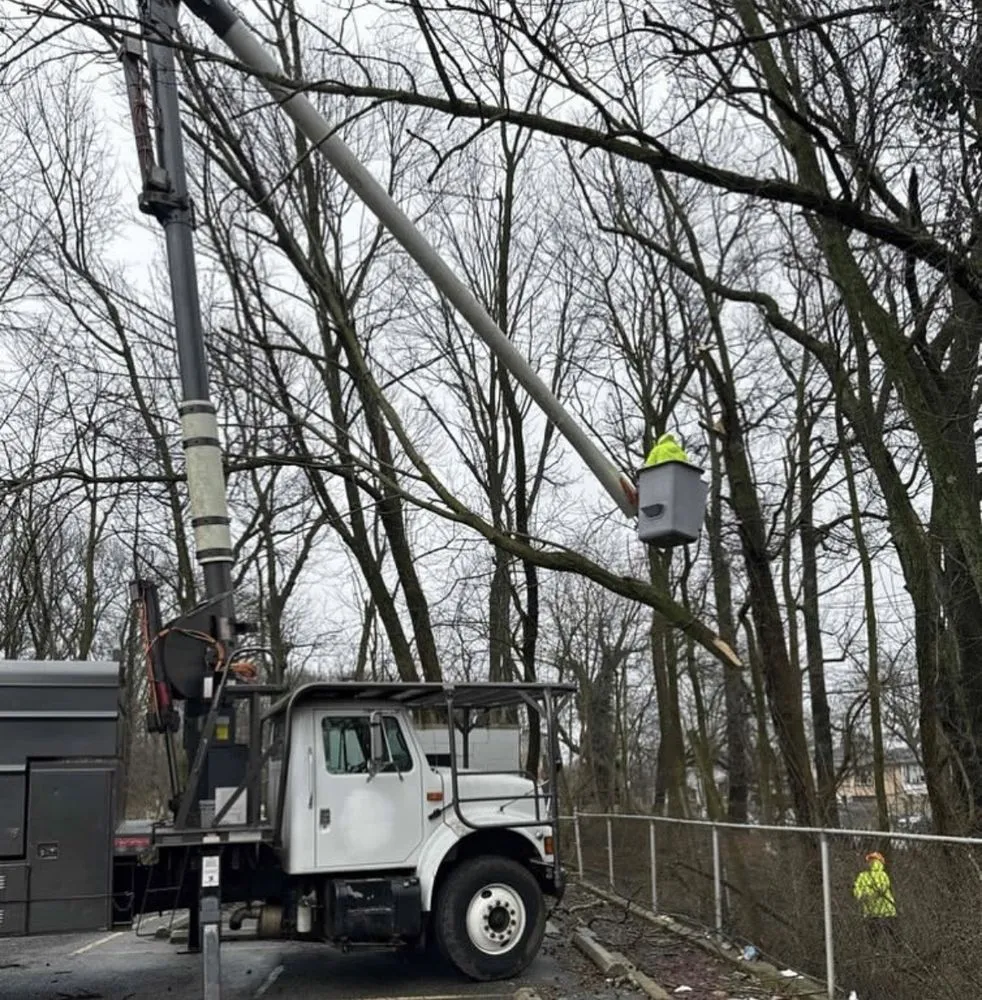 Professional landscape design in Staten Island, NY - The Landscaping Crew