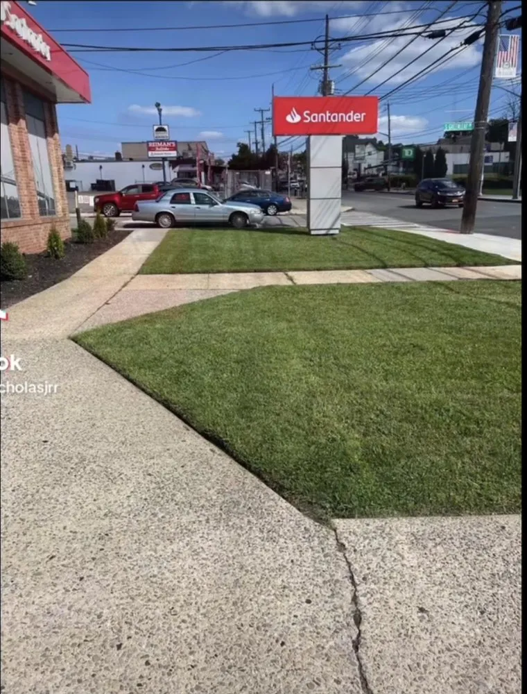 Top-rated landscaping services experts serving Staten Island, NY - The Landscaping Crew