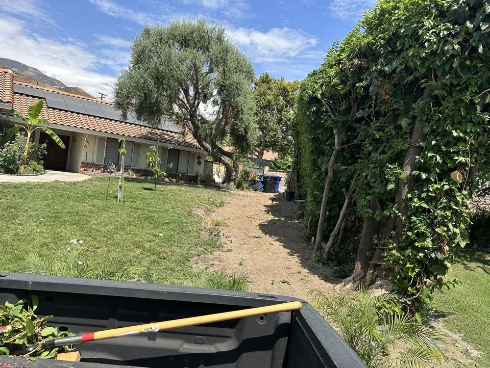 Top-rated lawn care service in Menifee, CA by The landscaping Handyman