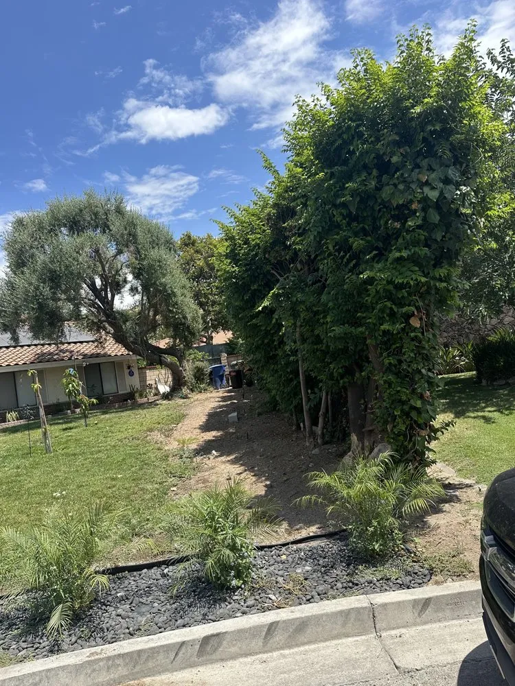 Custom yard maintenance in Menifee, CA - The landscaping Handyman