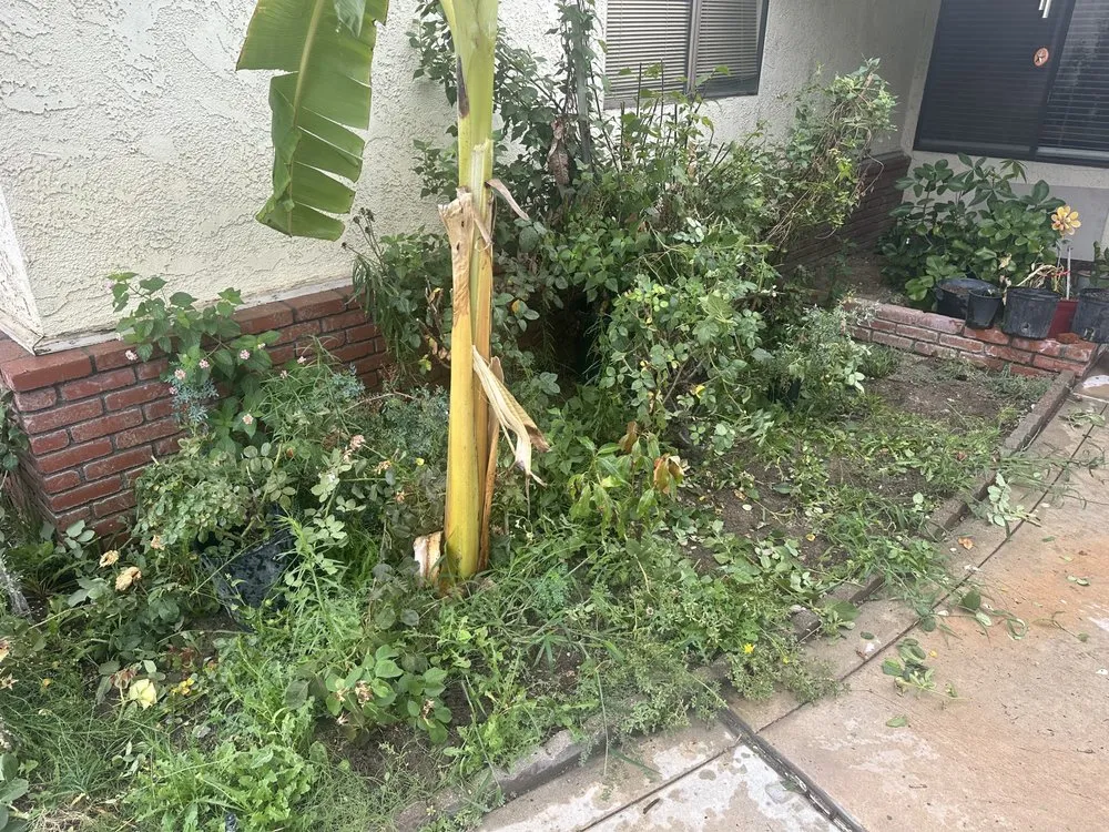 Top-rated garden landscaping with custom design in Menifee, CA by The landscaping Handyman