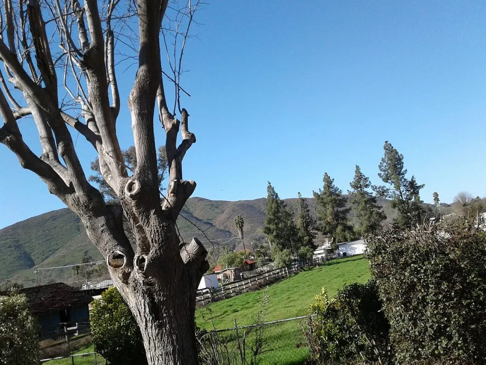 Affordable garden landscaping in Menifee, CA - The landscaping Handyman