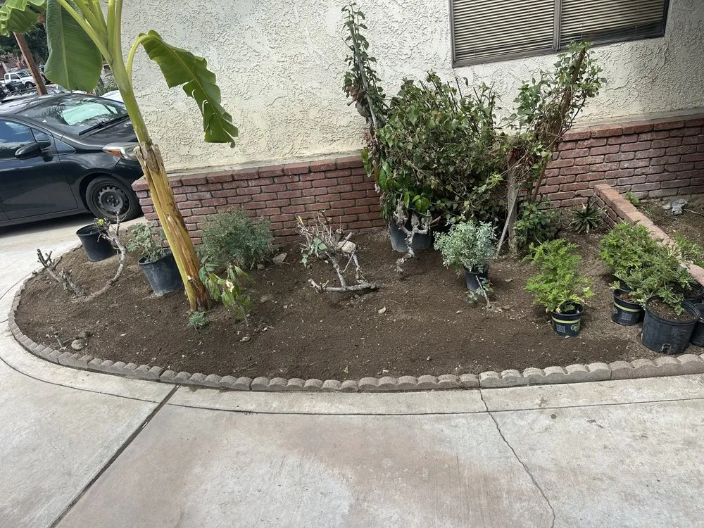 Custom lawn care service experts serving Menifee, CA - The landscaping Handyman