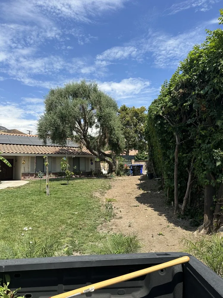 Top-rated outdoor landscaping near you in Menifee, CA by The landscaping Handyman