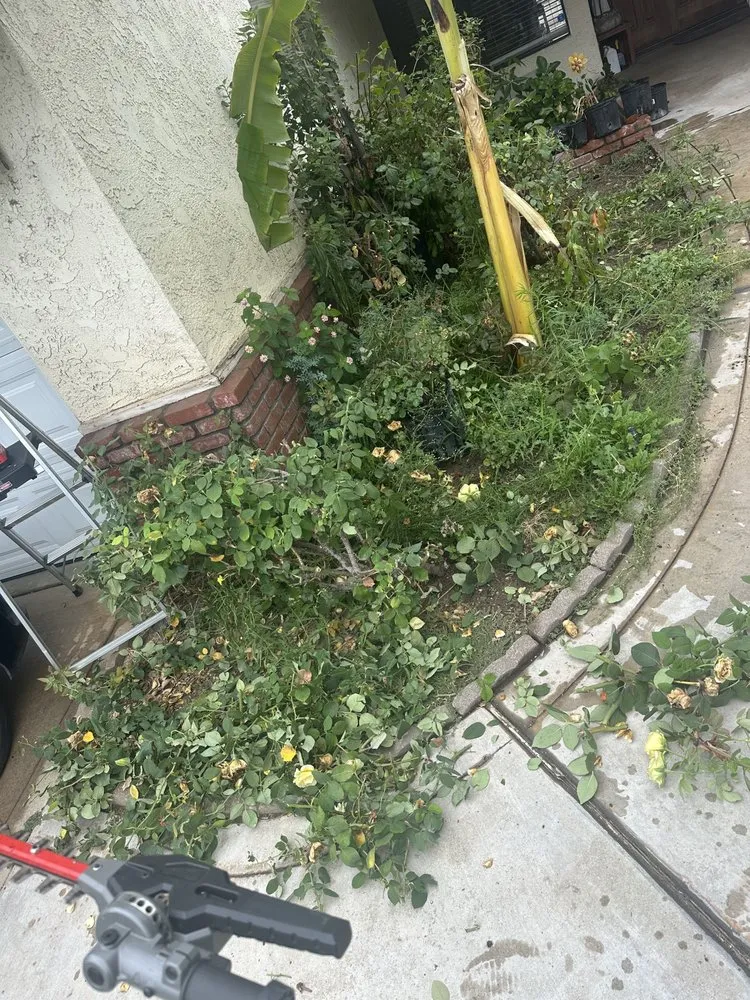 Affordable residential landscaping in Menifee, CA by The landscaping Handyman