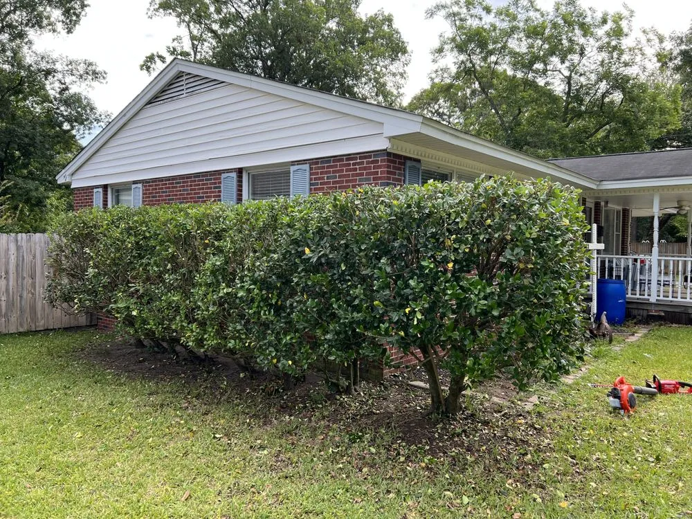 Top-rated yard maintenance for outdoor upgrades across Moncks Corner, SC - The Landscapist