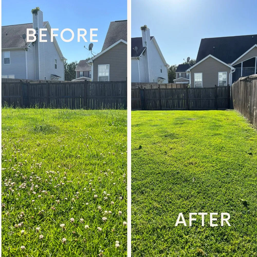 Reliable yard maintenance in Moncks Corner, SC - The Landscapist