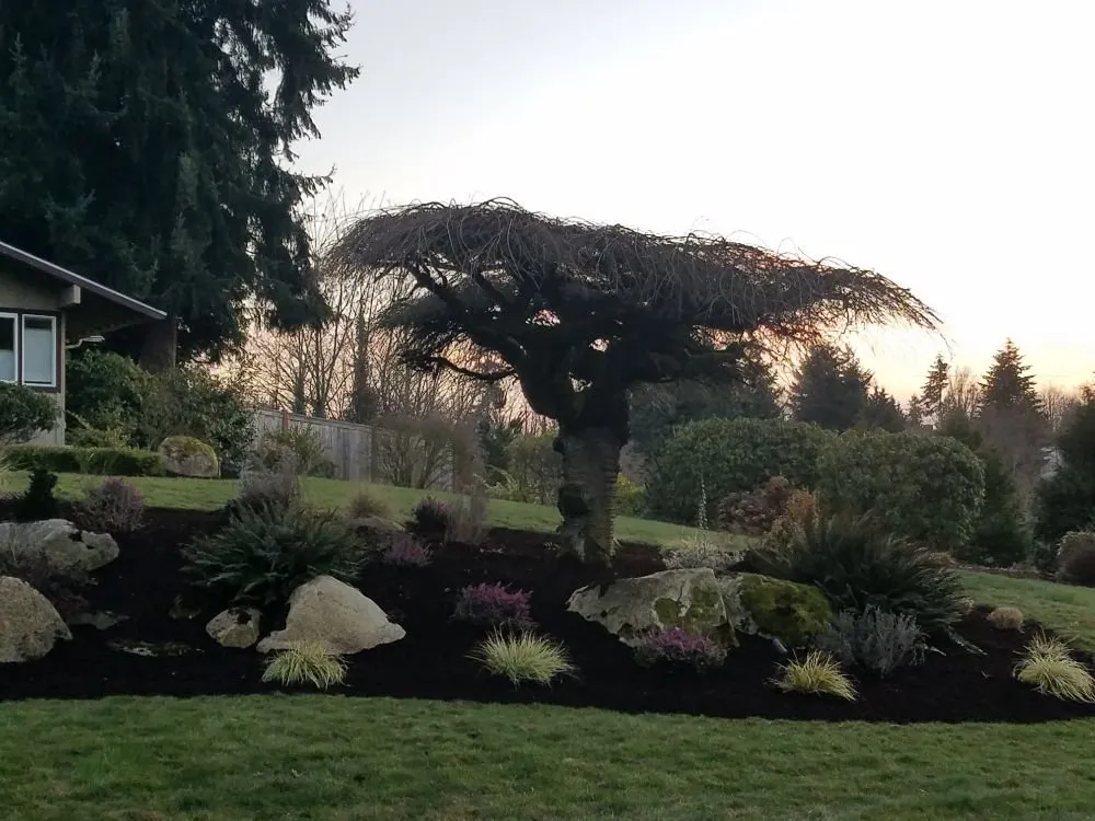 Top-rated outdoor landscaping experts serving Seatac, WA - The Largest Landscape & Construction