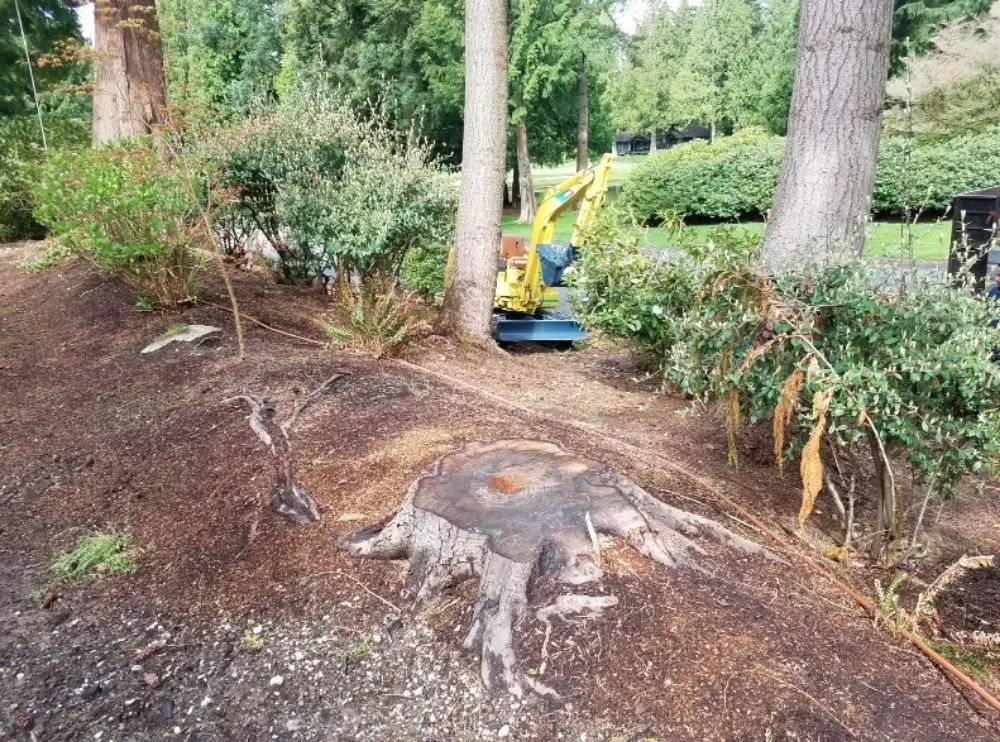 Top-rated yard cleanup service near you across Seatac, WA - The Largest Landscape & Construction