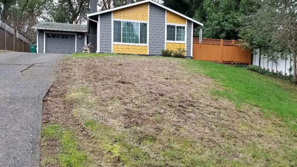 Affordable residential landscaping in Seatac, WA - The Largest Landscape & Construction